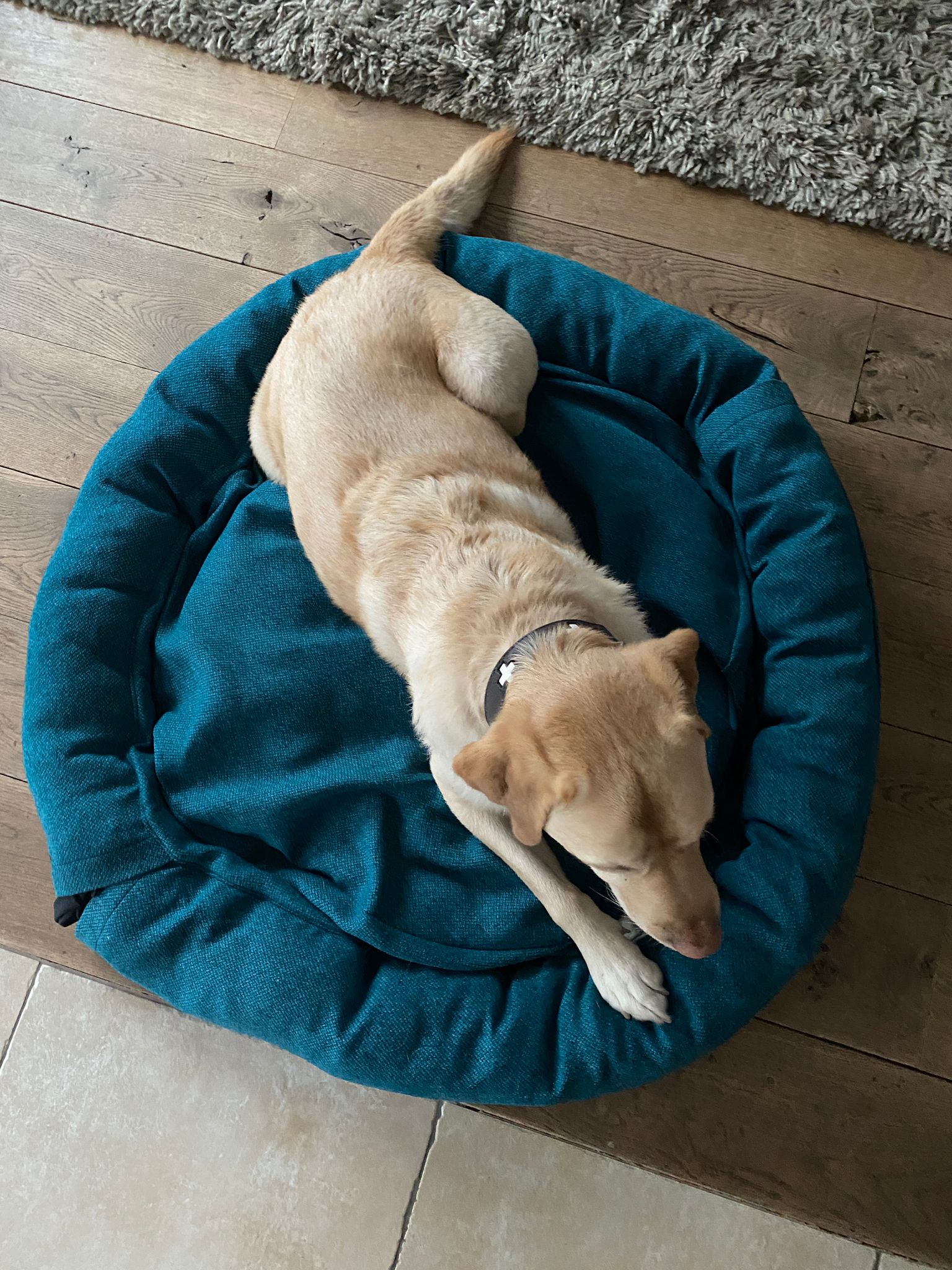 schnittmuster-berlin-hundekorb-bello-hundebett-schnittmuster-in-3-gr-en-zum-n-he image 6