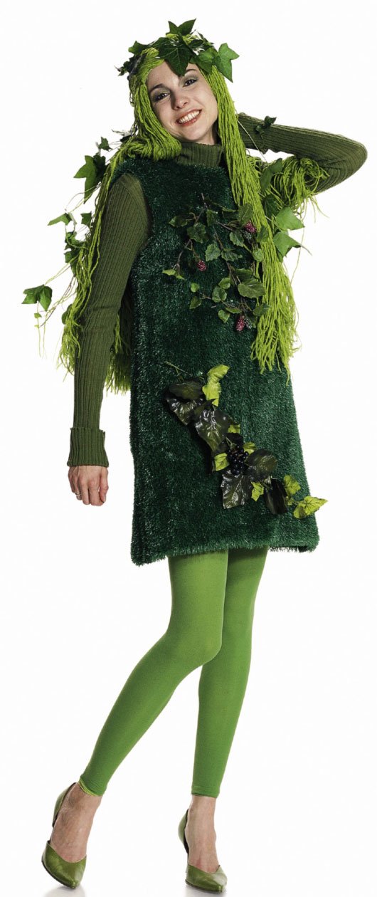 burda-style-2450-schnittmuster-karneval-kost-m-fr-chte-elfe-damen-gr-36-50 image 4