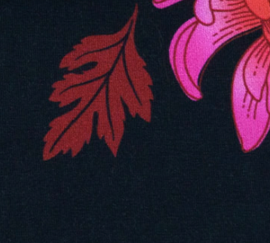 albstoffe-queens-united-beautiful-bio-jersey-meterware image 6