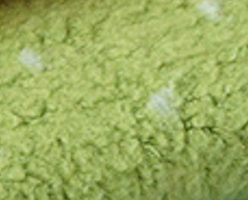 albstoffe-plushy-dots-teddy-pl-sch-bio-meterware image 4