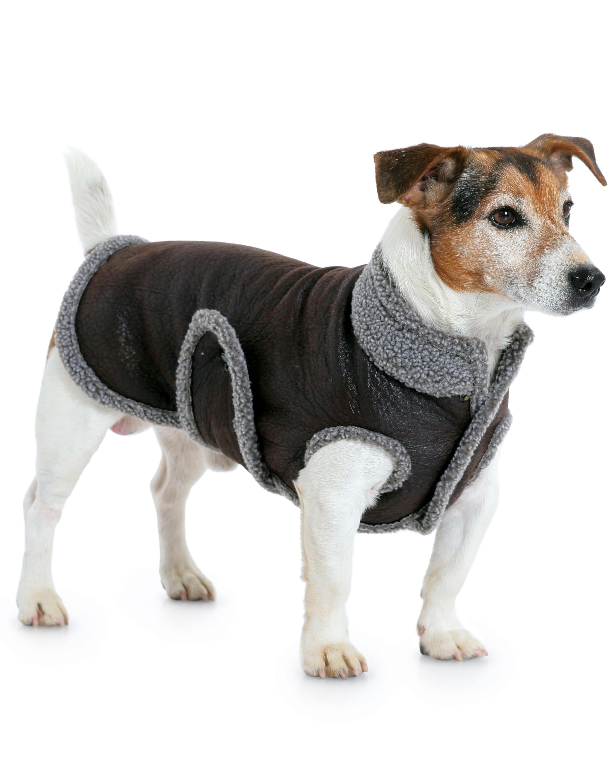 burda-style-7752-schnittmuster-hundemantel-5-varianten-gr-s-l image 5