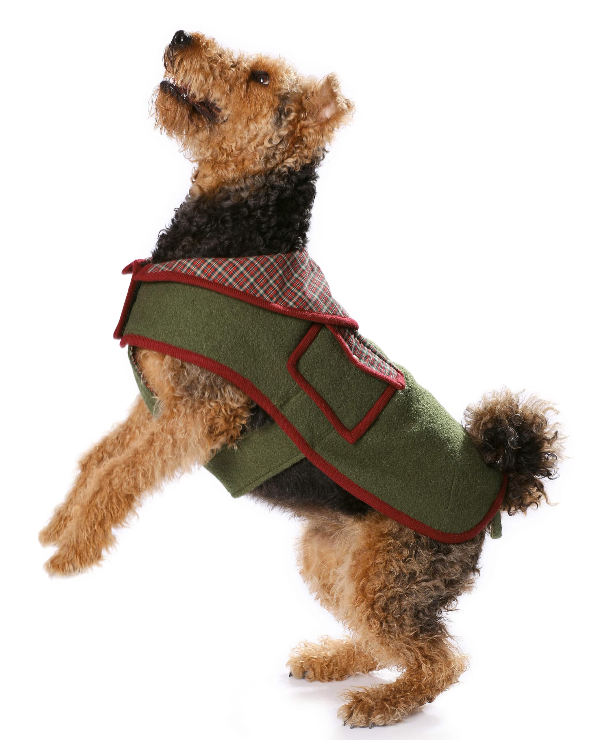 burda-style-7752-schnittmuster-hundemantel-5-varianten-gr-s-l image 3